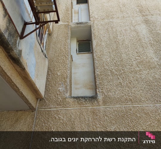 סולם מתכת ליד קיר עם רשתות על חלונות